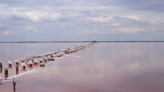 Возле озера Сиваш появятся рекреационные зоны