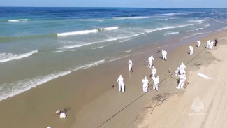 В Крыму обследовали более 500 км берега от Керчи до села Портовое после разлива нефтепродуктов