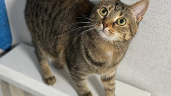 Отопительный сезон в Симферополе завершится в ночь на 20 апреля