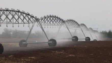 Крымские фермеры засевают поля сахарной свеклой