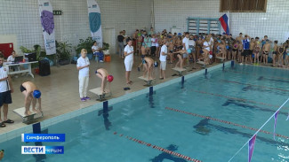 Юные пловцы из Симферополя сразились за звания лучших