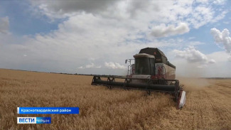 Более 1,5 миллиона тонн зерна собрали в Крыму