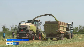 Корм для животных заготавливают крымские фермеры на зиму
