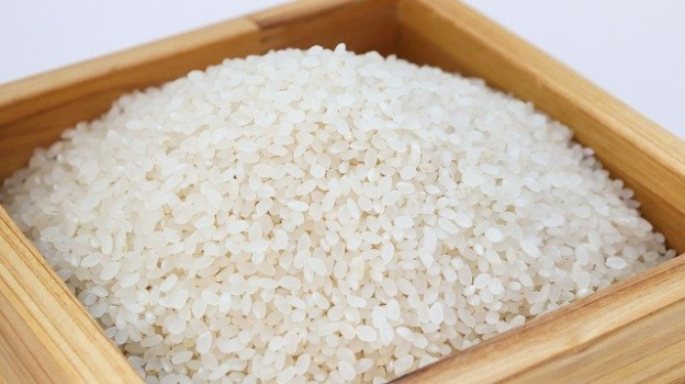 Рис для плова и ризотто будут выращивать в Крыму