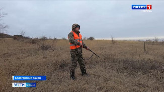 В Крыму борются с бесконтрольным ростом численности хищников