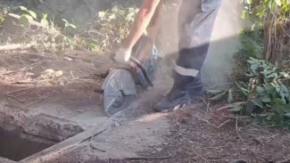  Корова упала в смотровую яму недостроенного гаража в Евпатории