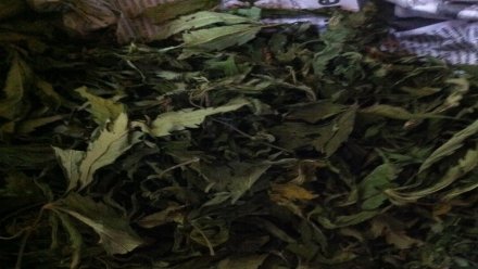 Пакет с марихуаной нашли полицейские в машине крымчанина 