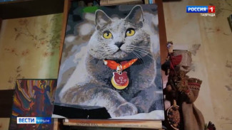 Вести Крым ищут новых хозяев для двух кошек и одного кота