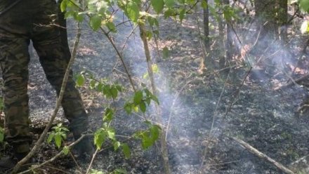 Пожарные совместно с волонтёрами локализовали лесной пожар в районе горы Бурун-Кая