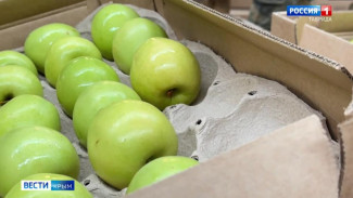 В 2025 году в Крыму собрали больше 25 тысяч тонн семечковых культур