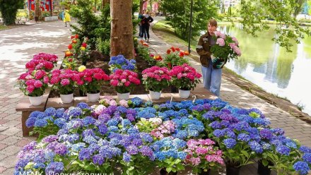 Парк Гагарина в Симферополе украсили яркими цветами