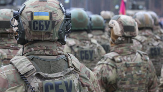 В ФСБ заявили о причастности  «Меджлиса»* к спецслужбам Украины
