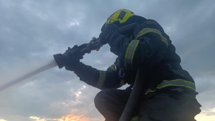 Особый противопожарный режим: в Крыму ожидается аномальная жара