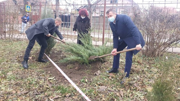 287 гектаров нового леса высадят в Крыму