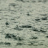 Дожди и грозы ждут крымчан 22 мая