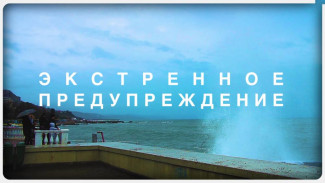 В Крыму действуют сразу три штормовых предупреждения
