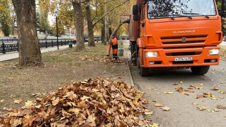 Более 200 кубометров листвы ежедневно собирают в Симферополе