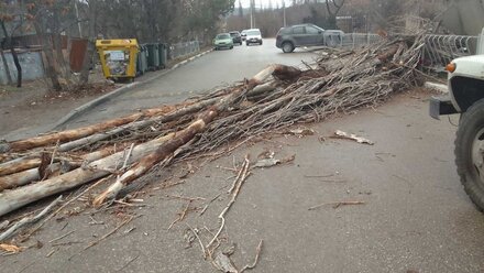 Имущество шести жителей Симферополя пострадало от повала деревьев