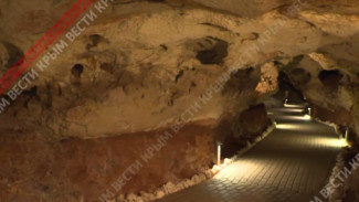В пещере «Таврида» обнаружили останки древних животных