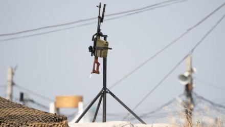 За день над регионами России и Чёрным морем уничтожили 59 украинских БПЛА