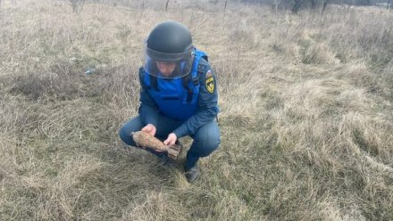 Сотрудники МЧС обезвредили боеприпасы времен войны в двух районах Крыма