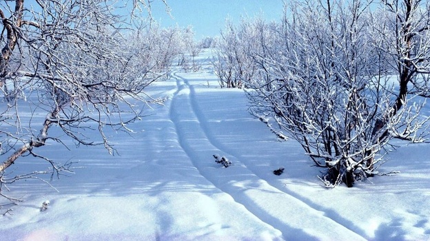Высота снега в Керчи достигла 47 сантиметров