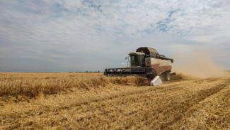  В Крыму собрали больше 1 миллиона тонн зерновых и зернобобовых культур