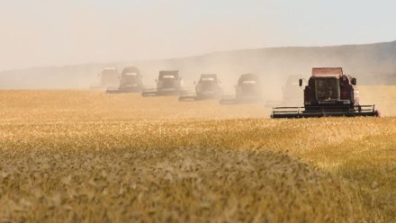 В Крыму начался сев озимых зерновых культур