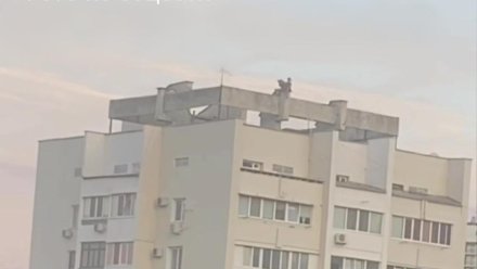 Подростки гуляли по крыше в Алуште