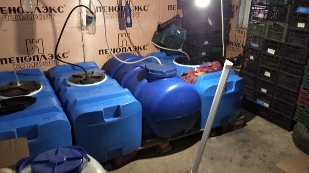 2 тысячи литров контрафактного алкоголя обнаружили в Евпатории