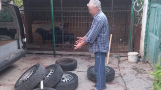 В Крыму осудили мужчину, чьи собаки загрызли 10-летнюю девочку