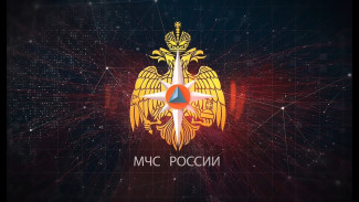 В новогоднюю ночь в Севастополе произошло 7 пожаров