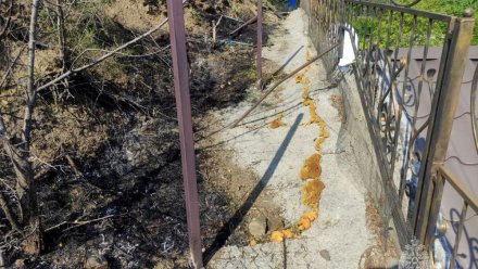 Сварочные работы стали причиной пожара на территории Алуштинского  лесхоза