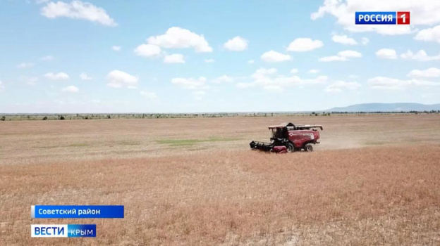 Девять тысяч гектаров крымской земли передали аграриям в 2022 году