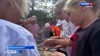 Сразу 300 крымчан стали участниками спортивного забега под названием «Кубок Ангарского перевала» в этом году