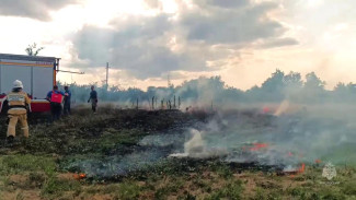 В Кировском районе пожарные ликвидировали возгорание сухой травы
