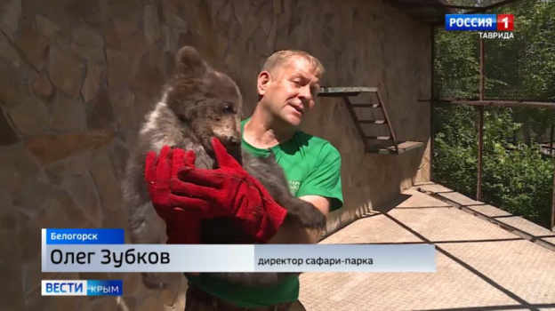 Следком начал проверку по факту нападения хищника на директора парка Львов «Тайган»