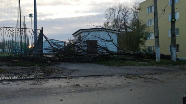 Шторм в Керчи повалил деревья и оборвал провода ЛЭП