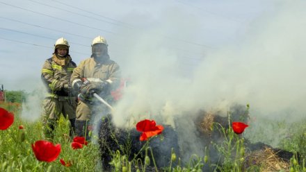 Крымские спасатели тренируются тушить пожар на хлебном поле