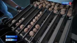 Крепкий орешек