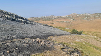 На плато Чатыр-Дага 79 человек тушили почти гектар ландшафтного пожара