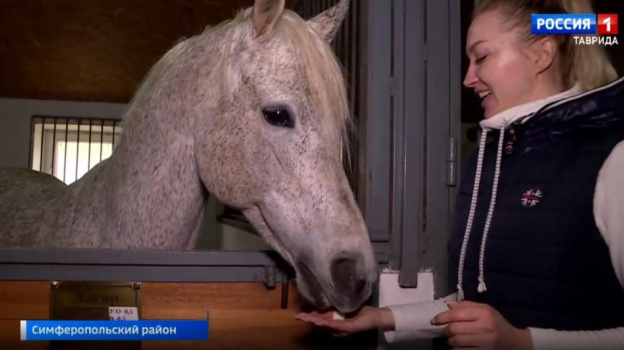 В Крыму началась вакцинация лошадей от сибирской язвы