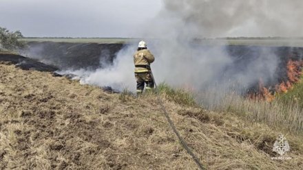 В Кировском районе горел камыш 