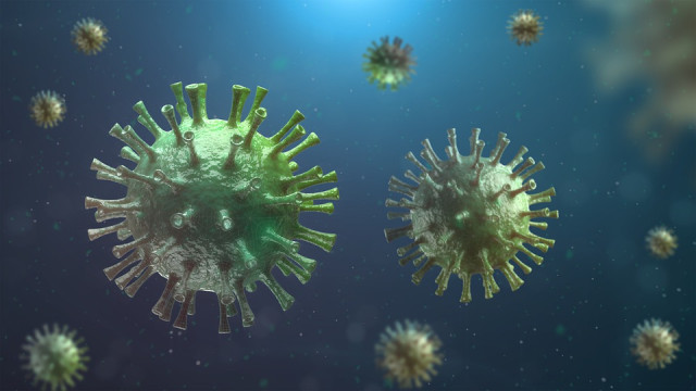 В ВОЗ разъяснили, когда завершится пандемия коронавируса