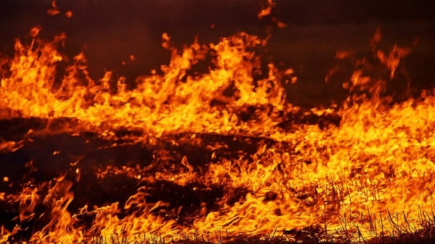 Число пожаров в Крыму снизилось на 26%
