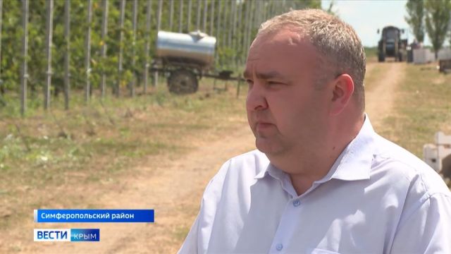 Сельское хозяйство Крыма перейдёт к смешанному типу производства