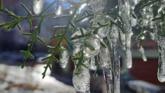 Заморозки в Крыму могут повлиять на урожай плодовых растений