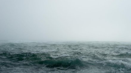 На этой неделе в Черном море был уничтожен безэкипажный катер ВСУ