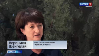 Крымчан ожидают жаркие выходные