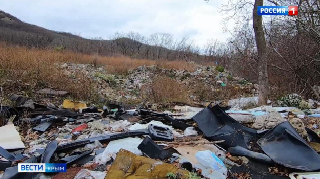 В Крыму ежегодно растет количество мусора на 10-15%